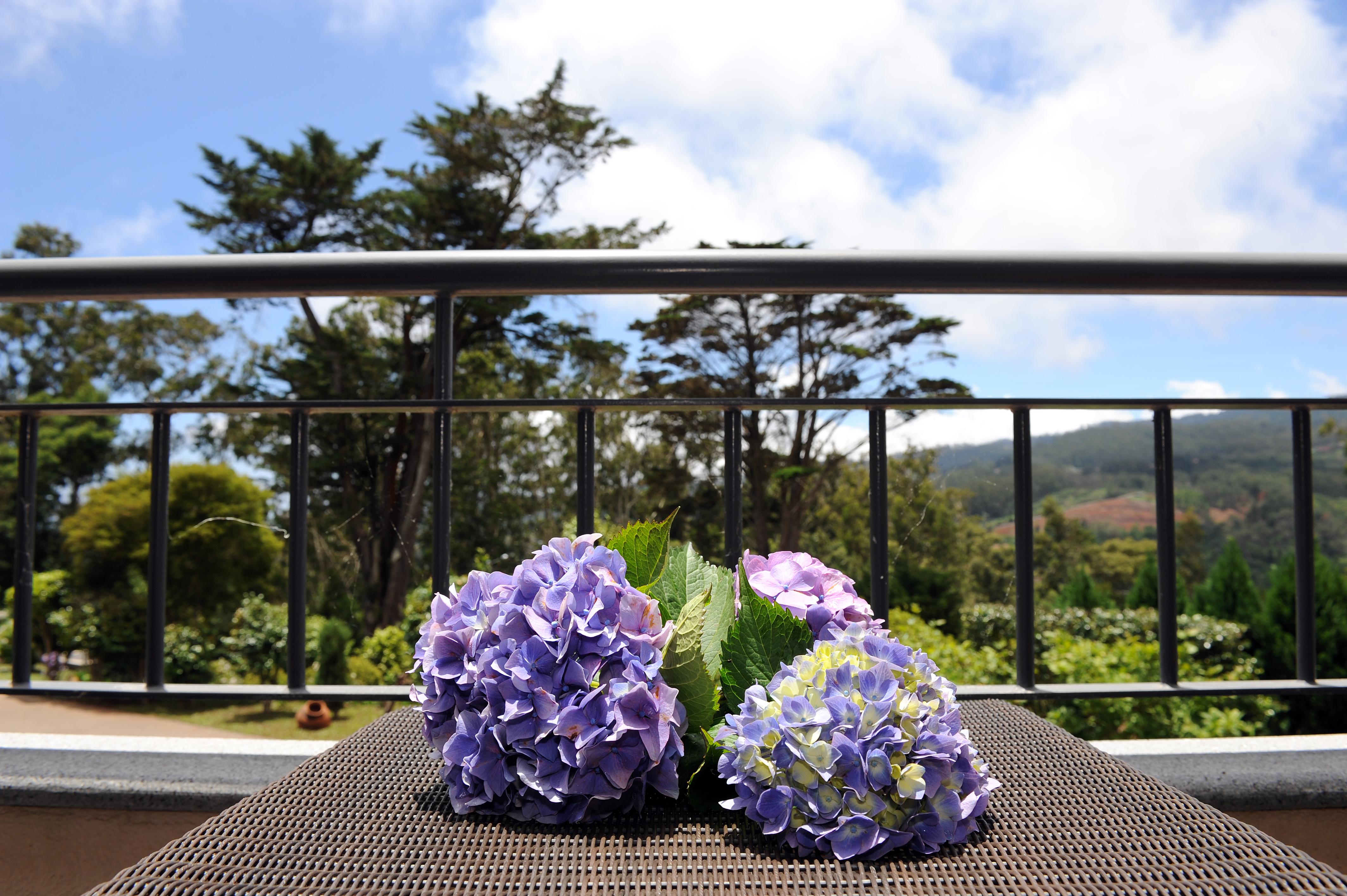 Quinta Da Cova Do Milho Hotel Santo Antonio da Serra ภายนอก รูปภาพ