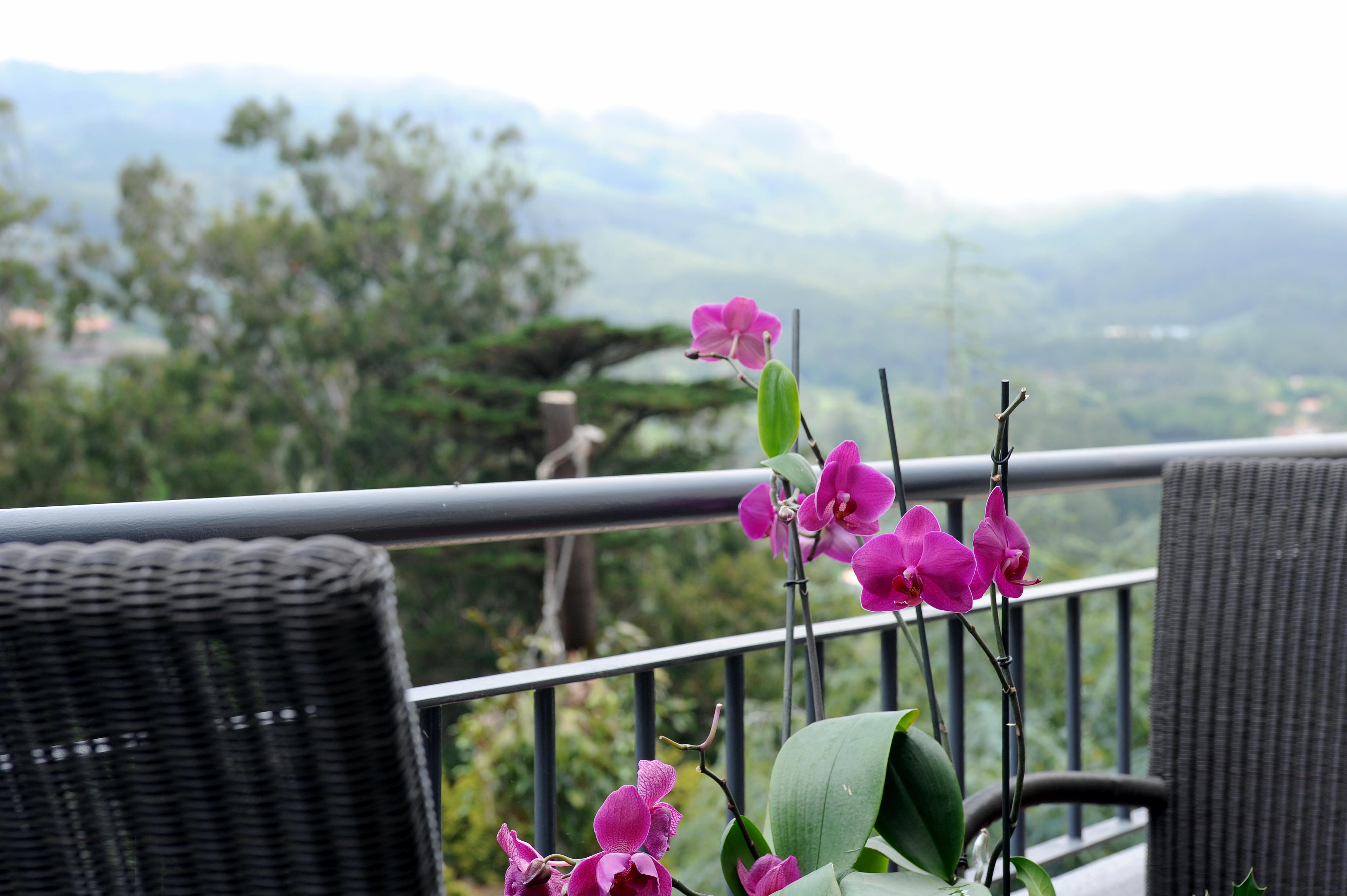 Quinta Da Cova Do Milho Hotel Santo Antonio da Serra ภายนอก รูปภาพ