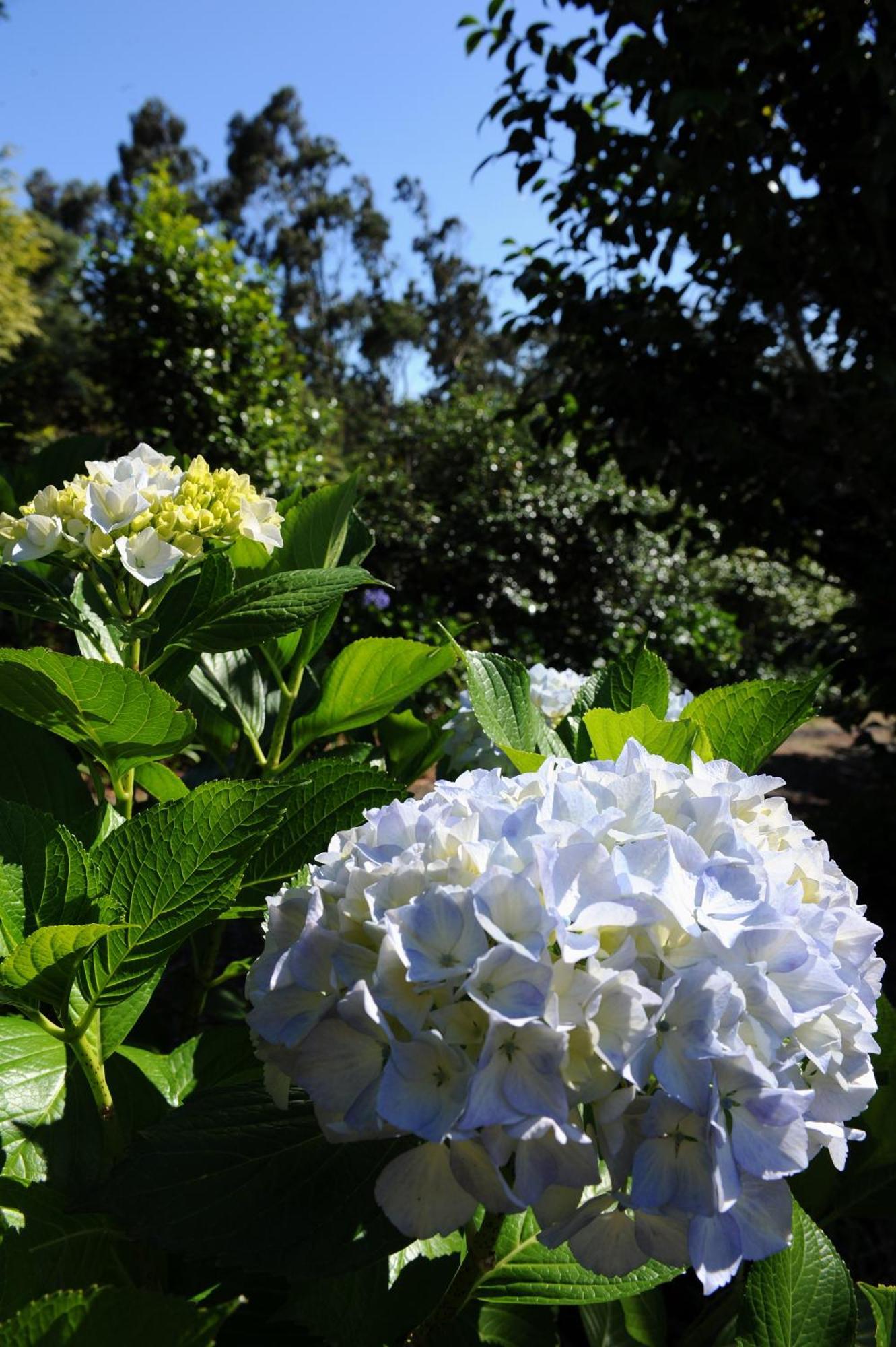 Quinta Da Cova Do Milho Hotel Santo Antonio da Serra ภายนอก รูปภาพ