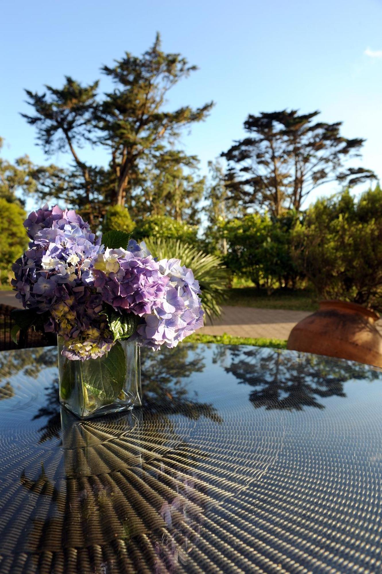 Quinta Da Cova Do Milho Hotel Santo Antonio da Serra ภายนอก รูปภาพ