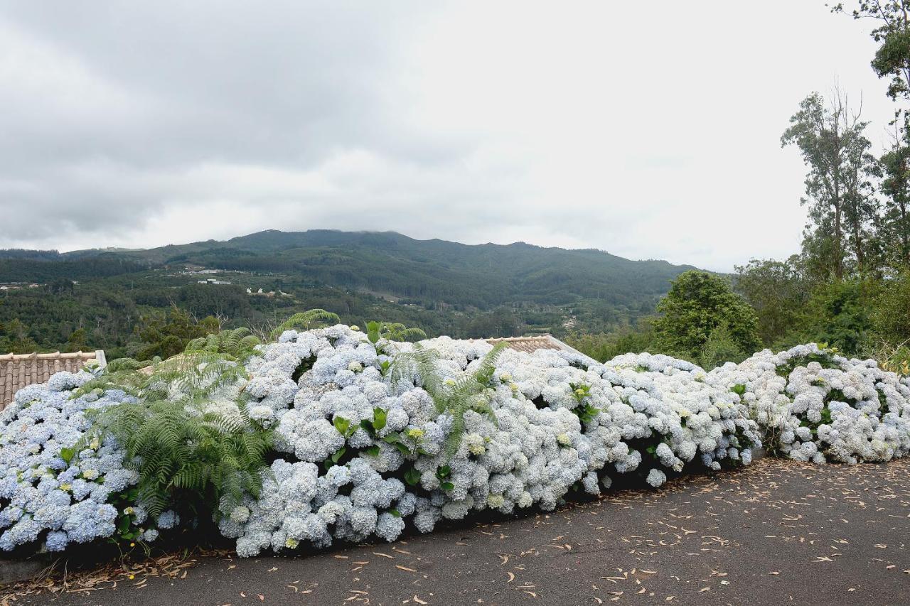 Quinta Da Cova Do Milho Hotel Santo Antonio da Serra ภายนอก รูปภาพ